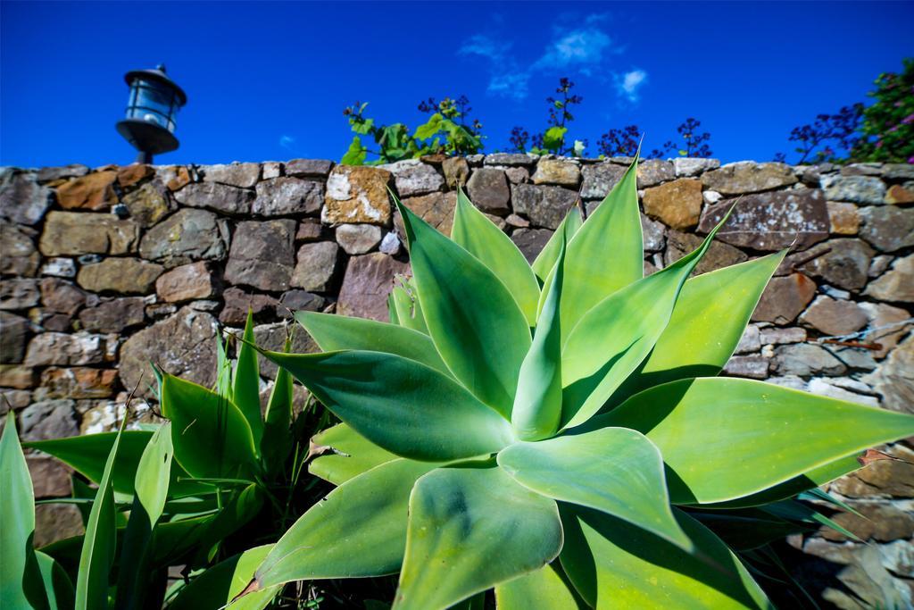 El Levante Tarifa Exterior foto